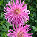 Picasa 2.7